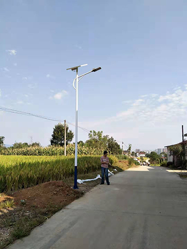 陜西省漢中市南鄭區(qū)大河坎鎮(zhèn)農(nóng)村太陽能路燈實例